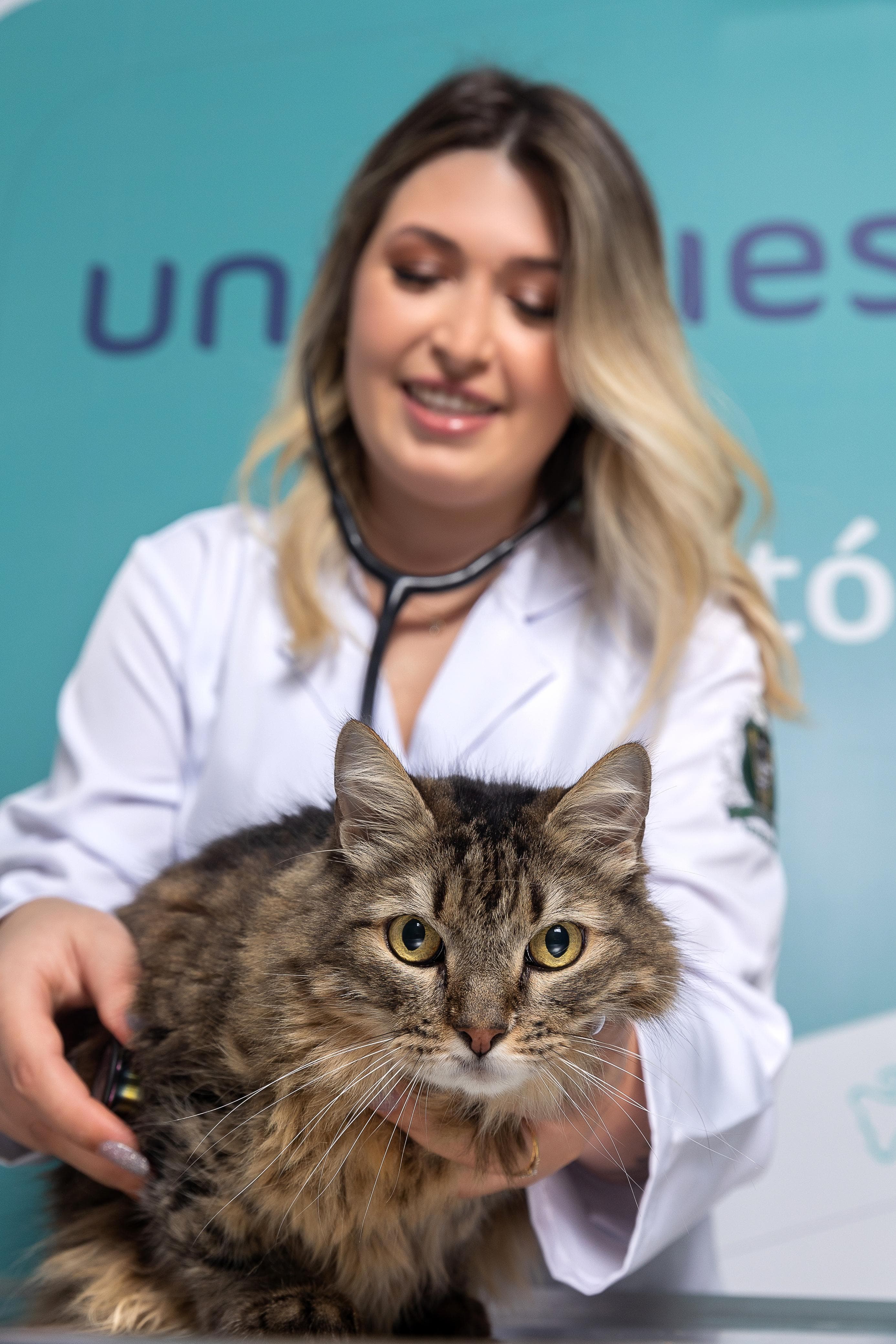 Dra. Luiza Scholz com um gato de pelo longo no colo